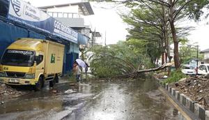 Pohon tumbang di Bandung. (Liputan6.com/Dikdik Ripaldi)