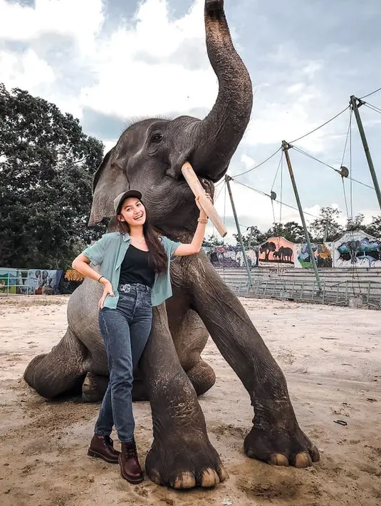 Fiolina Tejaay tidak takut dengan gajah, apalagi ia pernah mengunjungi Way Kambas. Dalam liburannya tersebut, ia berfoto dengan gajah seorang diri sambil memegang gadingnya. Momen seperti ini tentu tidak banyak orang yang berani. (Liputan6.com/IG/@fiolinatejaay)