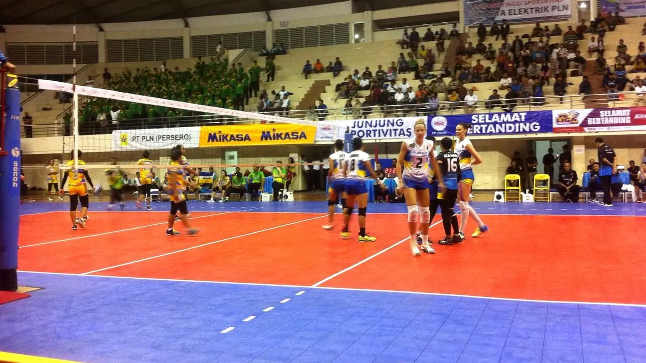 Proliga 2017