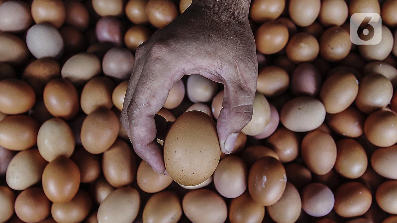 FOTO: Harga Telur Ayam Hampir Sentuh Rp 30 Ribu per Kg