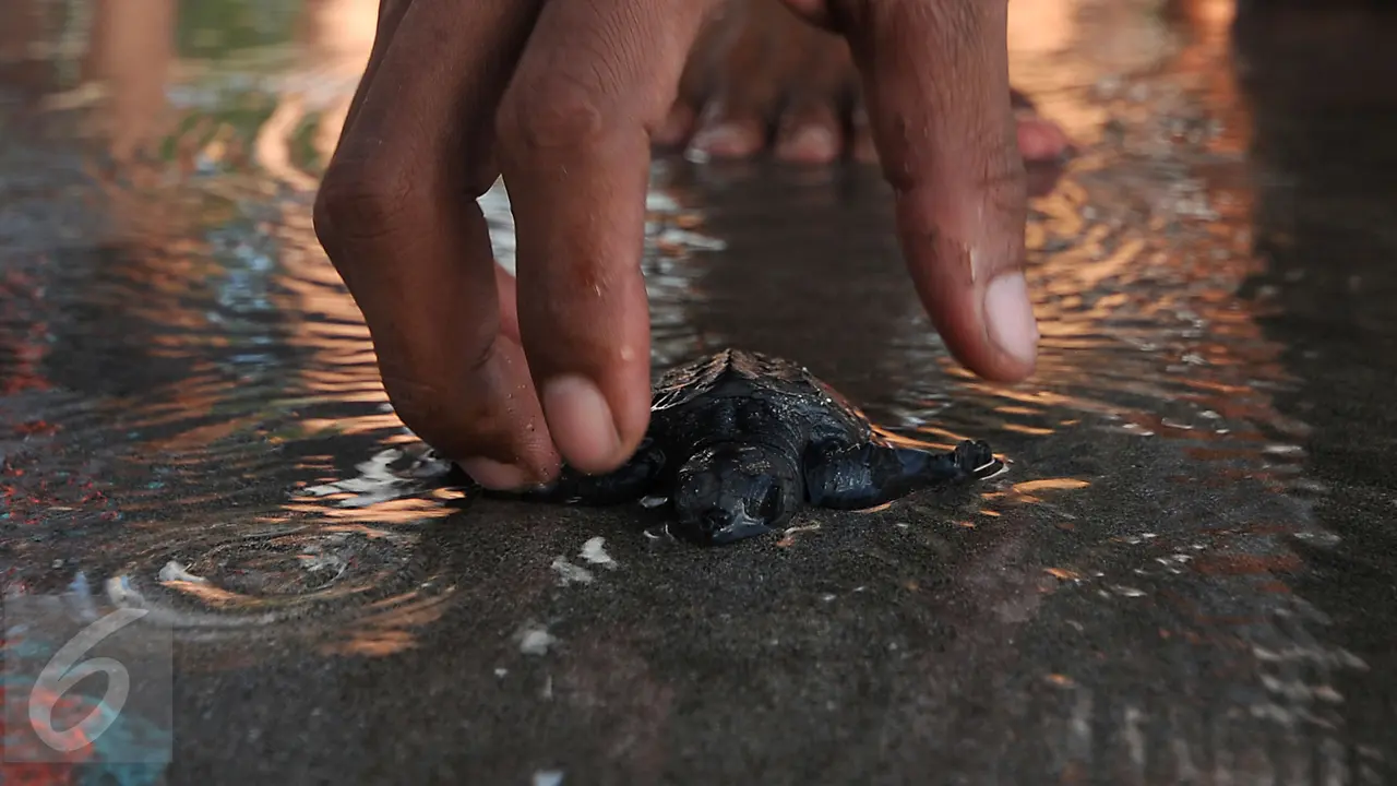 20150831-Tanah Lot dan Pantai Kuta Masih Jadi Primadona Wisata Pulau Dewata