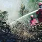 Proses pemadaman kebakaran lahan di Riau untuk mencegah terjadinya kabut asap. (Liputan6.com/M Syukur)