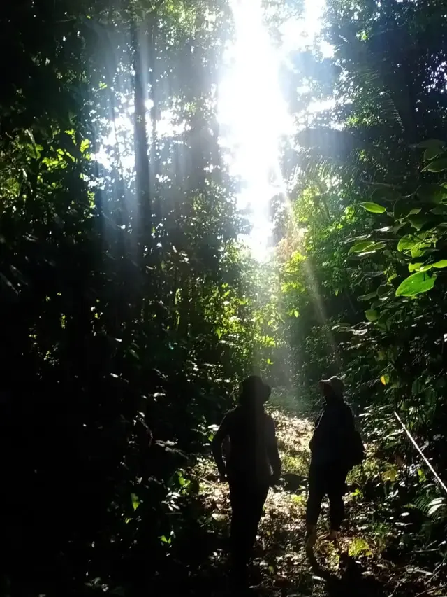 Tempat Wisata Medan yang Romantis Cagar Alam Sibolangit