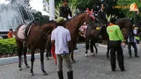 Buka Jakarnaval, Jokowi-Ahok Tunggangi Kuda Blasteran