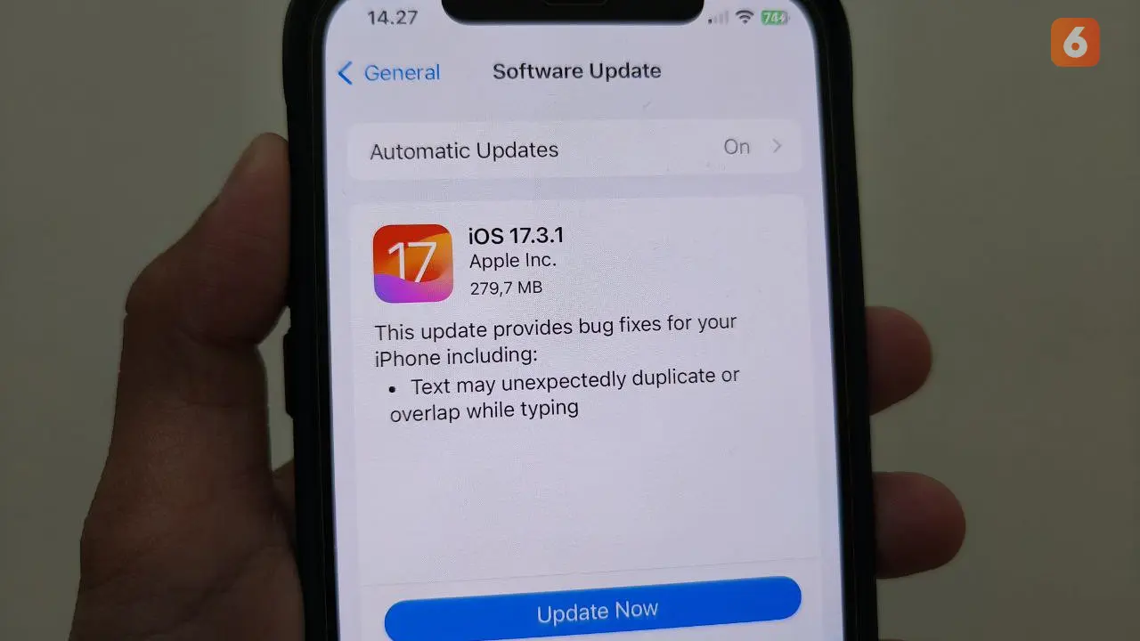 Update iOS 17.3.1