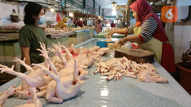 Harga Ayam Potong
