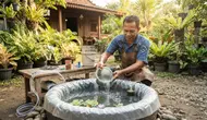 Cara Membuat Kolam Mini dari Ban Bekas, 7 Langkah Mudah Wujudkan Taman Estetik dan Ramah Lingkungan