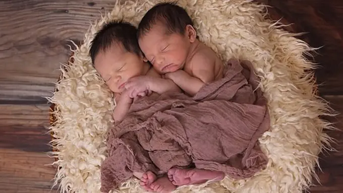 Bayi kembar/copyright Pixabay.com