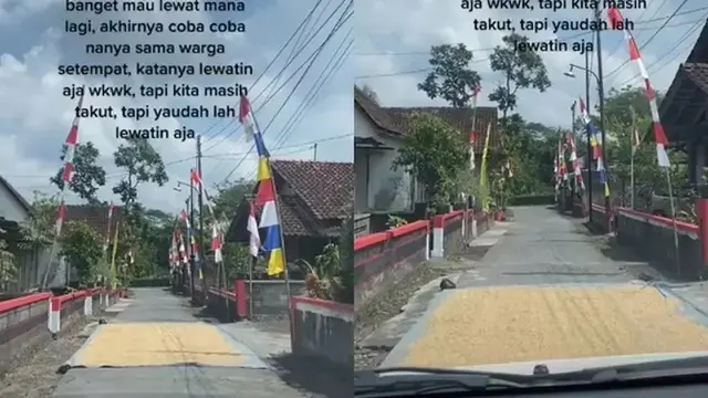 Kumpulan Potret Padi Dijemur di Tengah Jalan, Kendaraan Bermotor Jadi Sulit Melintas (ist)