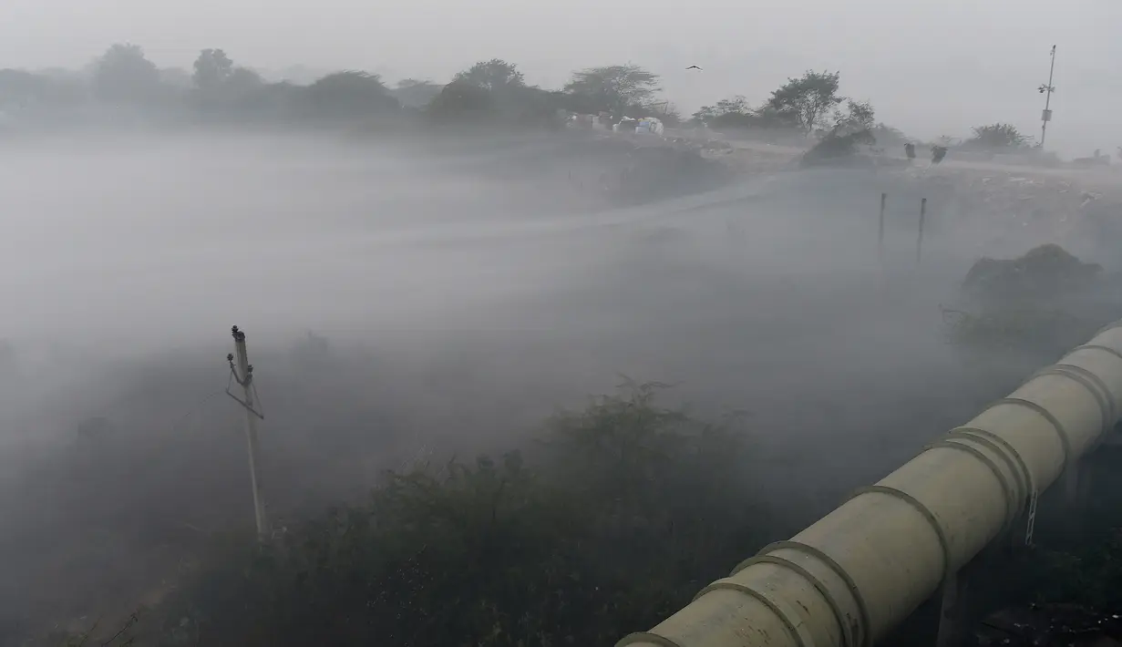 Lapisan kabut menutupi area hutan pada pagi hari di New Delhi (25/12). India ditetapkan darurat polusi udara. Kualitas udara yang semakin buruk dan kabut beracun menyelimuti. (AFP Photo/Prakash Singh)