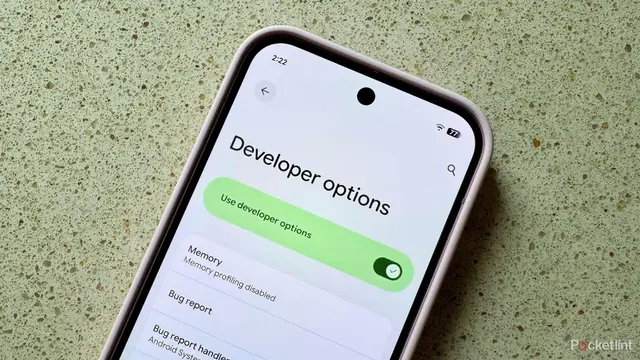 Menu Developer Option Android