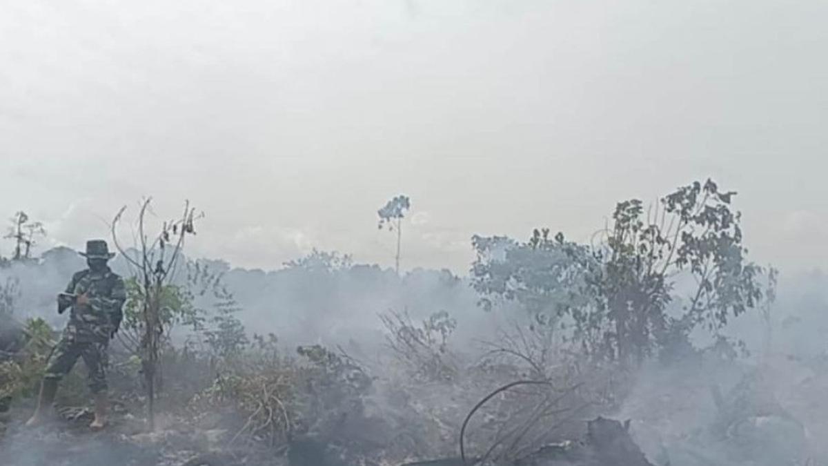 Pemkab Aceh Barat Tetapkan Status Darurat Bencana Kebakaran Hutan dan Lahan Selama 14 Hari