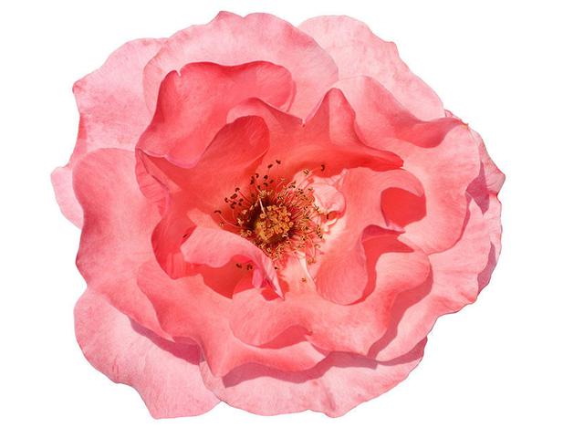 5 Perubahan Vagina Setelah Melahirkan Health Liputan6 Com