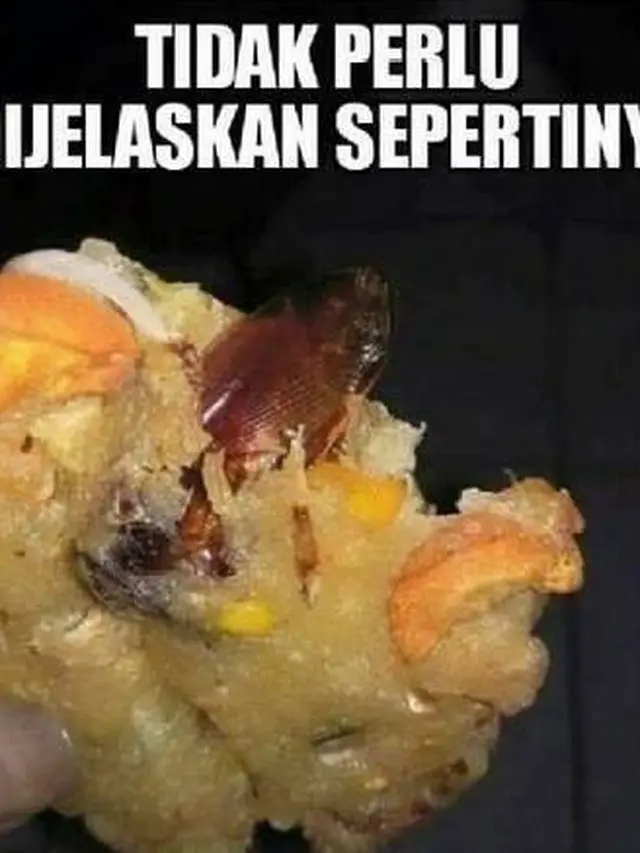 Bala-bala isi kecoa