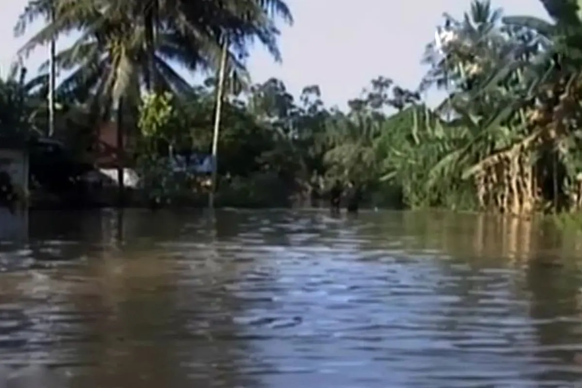 Segmen 1: Banjir di Jambi hingga Kondisi Eks Gafatar