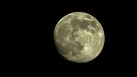 Ilustrasi Supermoon. (Gambar oleh Сергей Шабанов dari Pixabay)