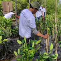 Memeringati gerakan sejuta pohon, skincare lokal ini tanam 3000 mangrove (Scarlett)