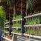 Kebun Daun Bawang Gantung dari Paralon Bekas dan Tali Rumah/AI