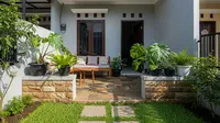 Trik Jitu Menyusun Pot di Teras Kecil, Maksimalkan Ruang dan Keindahan Rumah