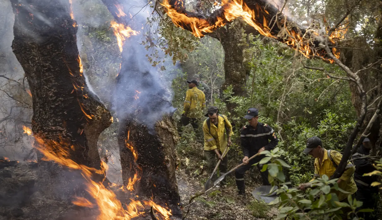 Petugas pemadam kebakaran berjuang melawan kebakaran hutan di wilayah Chefchaouen, Maroko, 17 Agustus 2021. Petugas pemadam kebakaran Maroko berjuang untuk memadamkan dua kebakaran hutan saat negara tersebut dilanda gelombang panas. (FADEL SENNA/AFP)