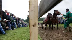 Penonton menyaksikan peserta yang berusaha menarik kudanya membawa kayu gelondongan ke atas bukit saat mengikuti sebuah kompetisi di Kota Sokolac, Bosnia (18/6). Acara ini digelar untuk merayakan tradisi kuno dalam menarik kayu. (AP Photo/Amel Emric)