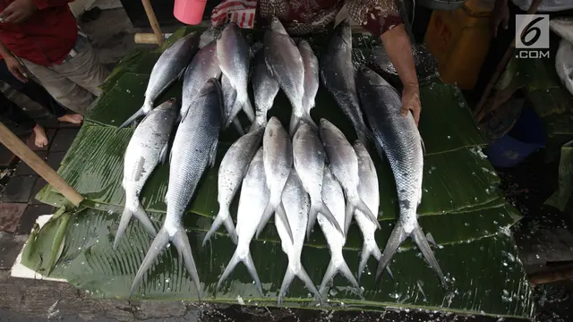 Jelang Imlek, Penjualan Ikan Bandeng Rawa Belong Melonjak