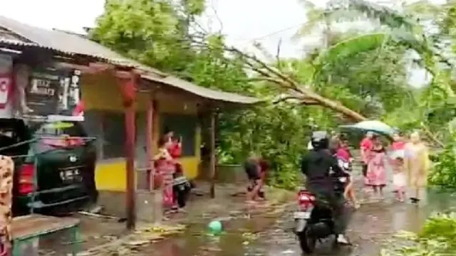 Angin Puting Beliung merusak ratusan rumah di Kabupaten Bondowoso (Istimwa)