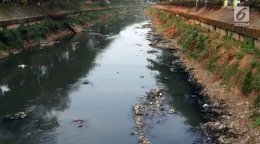 Ceceran sampah dan endapan lumpur terlihat di Kali Ciliwung Banjir Kanal Barat, Jalan Galunggung, Jakarta, Selasa (30/7/2019). Endapan lumpur dan ceceran sampah membuat Kali Ciliwung Banjir Kanal Barat terlihat kotor dan kumuh. (Liputan6.com/Helmi Fithriansyah)