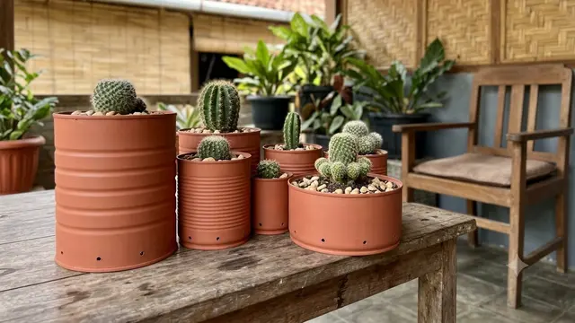 Ide Kaleng Susu Bekas Jadi Pot Tanaman Hias Model Satu Warna untuk Kaktus Mini