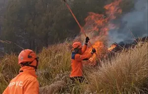 BNPB Evaluasi Penanganan Karhutla Usai Enam Petugas Gugur
