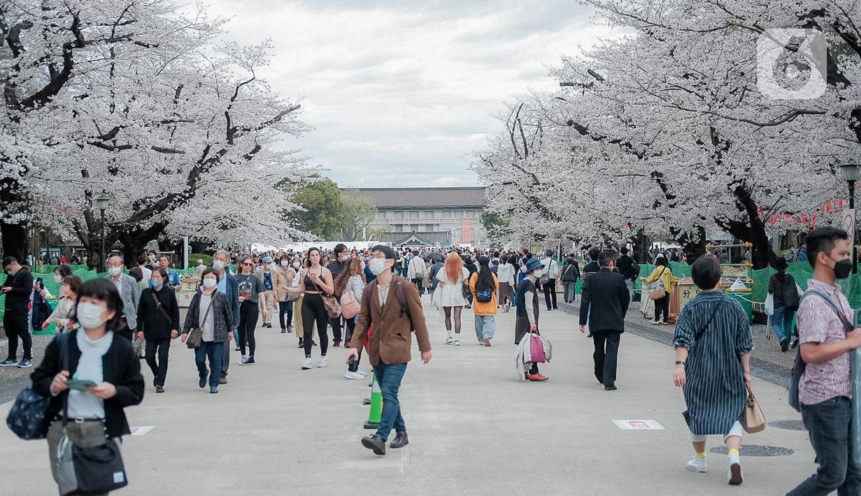 Para pengunjung menikmati sakura mekar di Taman Ueno, Tokyo, Sabtu (25/3/2023). Memasuki musim semi di Jepang, warga hingga turis mancanegara berbondong-bondong menikmati keindahan dari bunga sakura yang mekar. (Liputan6.com/Faizal Fanani)