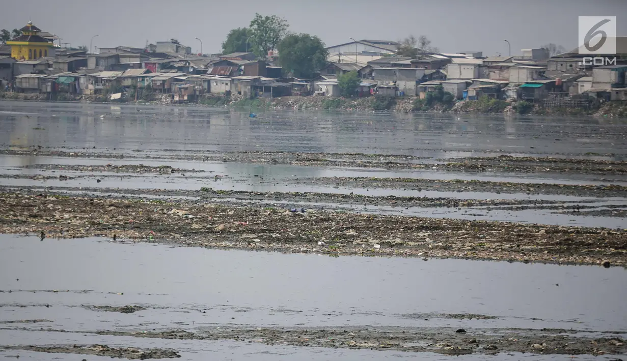 Kondisi waduk Pluit yang mengalami pendangkalan di wilayah Penjaringan, Jakarta Utara, Sabtu (8/6/2019). Endapan lumpur cukup tebal yang diperparah dengan sampah menutupi permukaan air waduk tersebut mengantarkan aroma tidak sedap. (Liputan6.com/Faizal Fanani)