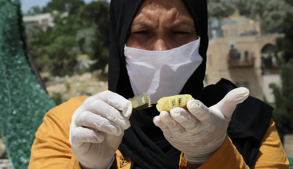 Perempuan Palestina dengan masker dan sarung tangan menyiapkan biskuit tradisional menjelang Idul Fitri di sebuah rumah di kota tua Hebron, Tepi Barat yang diduduki, Selasa (19/5/2020). Biskuit-biskuit itu akan dijual secara online guna menjaga jarak selama pandemi Covid-19. (HAZEM BADER/AFP)