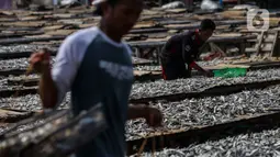 Pekerja menjemur ikan asin di sentra produksi kawasan Kampung Nelayan Muara Angke, Jakarta, Kamis,(17/2/2022). Kementerian Keuangan mengalokasikan anggaran untuk program Pemulihan Ekonomi Nasional (PEN) tahun 2022 sebesar Rp455,62 triliun. (Liputan6.com/Johan Tallo)