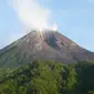 Gunung Merapi (Istimewa)