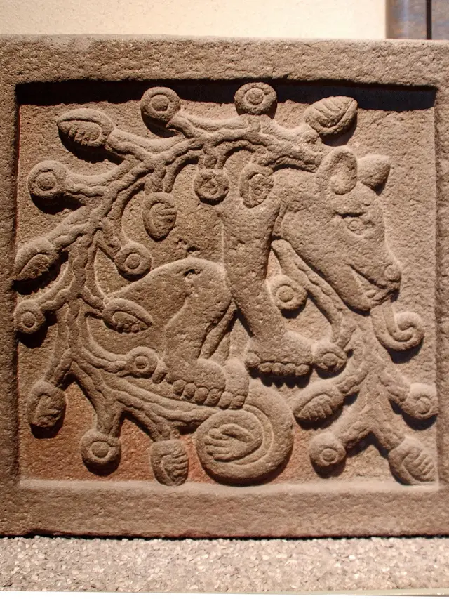 Ilustrasi antropologi