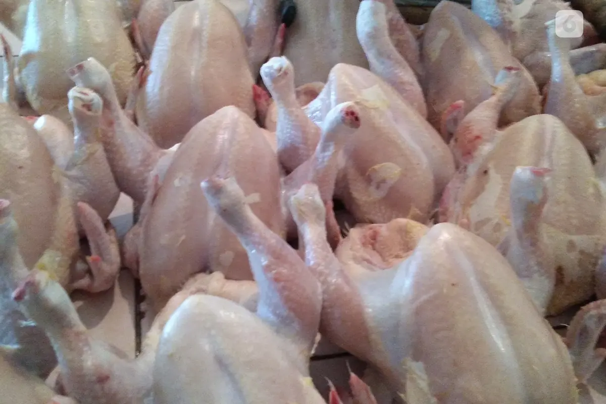 Daging ayam potong segar di Pasar Slipi