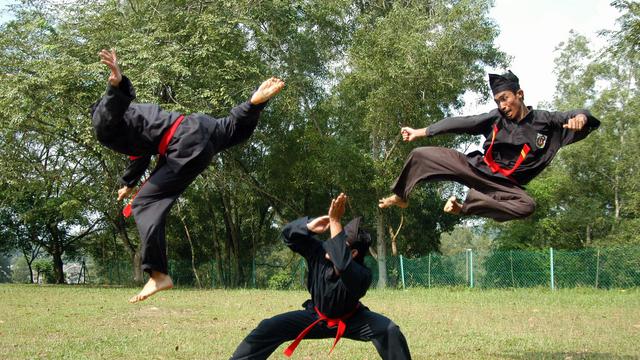 Pencak Silat