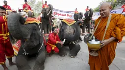 Biksu Buddha memberi pemberkatan kepada gajah saat perayaan Hari Gajah Nasional di kota bersejarah, Thailand, (3/11).Populasi Gajah kini mulai mengalami penurunan. (REUTERS / Chaiwat Subprasom)