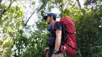 Demam Setelah Pulang dari Hutan, Bisa Jadi Kena Monkey Malaria