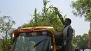 <p>Pengemudi becak Mahender Kumar menyiram 'taman' di atap kendaraannya, di New Delhi, India pada 2 Mei 2022. Bajaj kuning dan hijau ada di mana-mana di jalan-jalan New Delhi tetapi kendaraan Mahendra Kumar sangat menonjol -- ia memiliki taman di atapnya bertujuan untuk menjaga penumpang tetap sejuk selama musim panas yang menyengat. (Money SHARMA / AFP)</p>