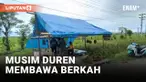 JALAN TRANS SULAWESI DISULAP JADI LAPAK DUREN TERPANJANG, PEDAGANG RAIH UNTUNG JUTAAN RUPIAH PERHARI