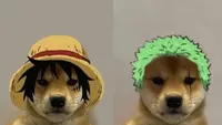 6 Editan Foto Anjing Jadi Kru Mugiwara One Piece Ini Kocak (IG/mugiwara)