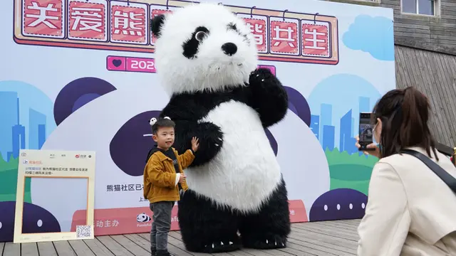 FOTO: Peringatan Hari Panda Internasional di Chengdu