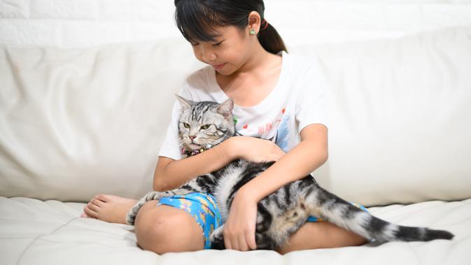 Ilustrasi kucing/Shutterstock.