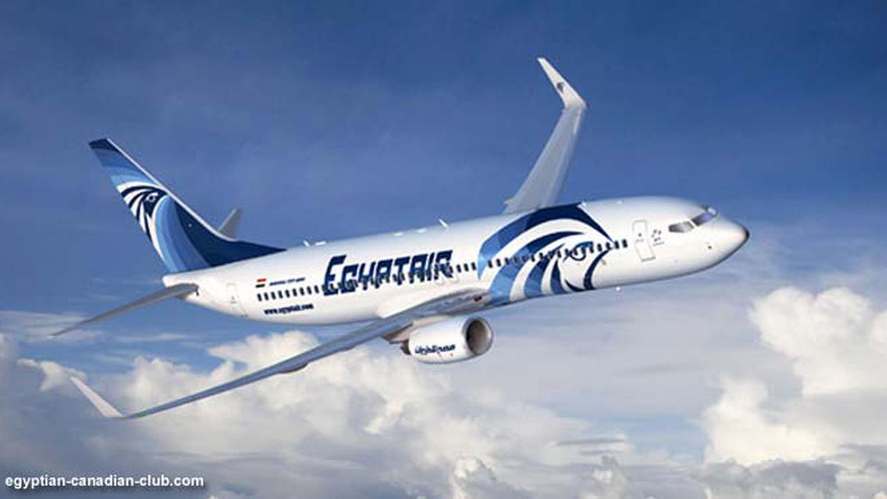 egypt-air-bidik-131127c.jpg