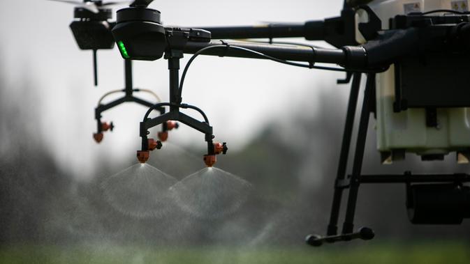 Sebuah drone menyemprotkan pestisida di lahan pertanian di Desa Hongqiao, Provinsi Sichuan, China, 25 Februari 2020. Berbagai peralatan pintar telah mulai digunakan di lahan pertanian di tengah upaya pencegahan dan pengendalian wabah virus corona COVID-19 di Sichuan. (Xinhua/Wang Xi)