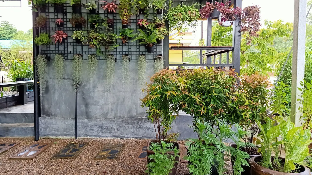 Taman