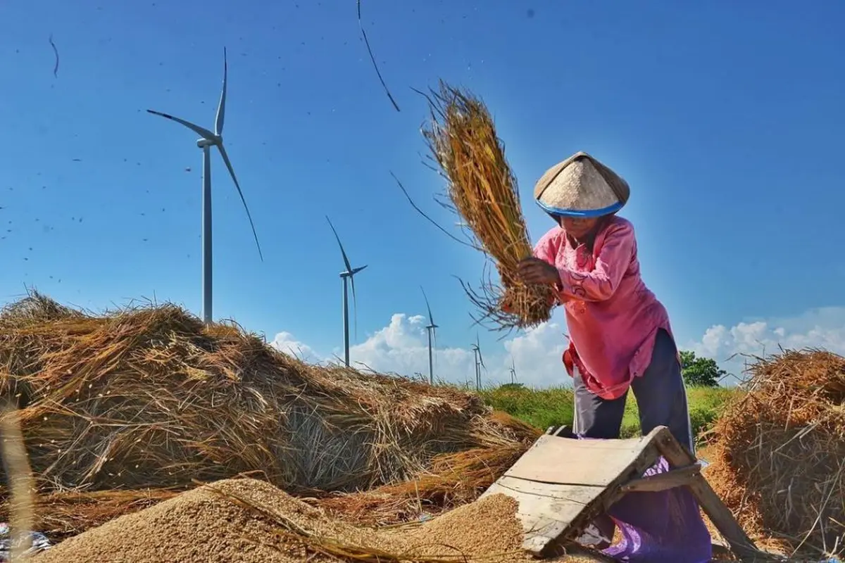 UNDP Gelar Kompetisi Foto untuk Ingatkan Peran Penting Perempuan di Sektor Energi Berkelanjutan.
