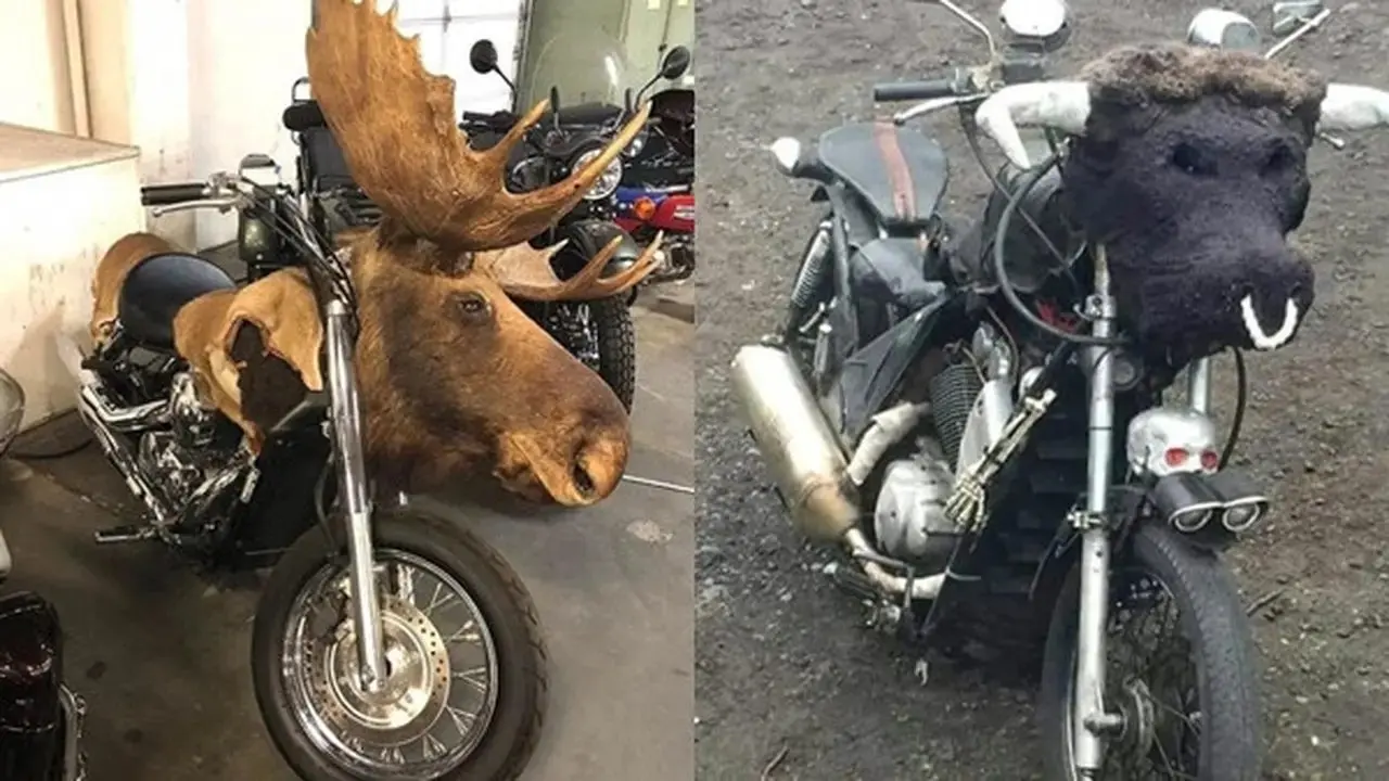 Kumpulan Potret Modifikasi Sepeda Motor yang Terinspirasi dari Hewan